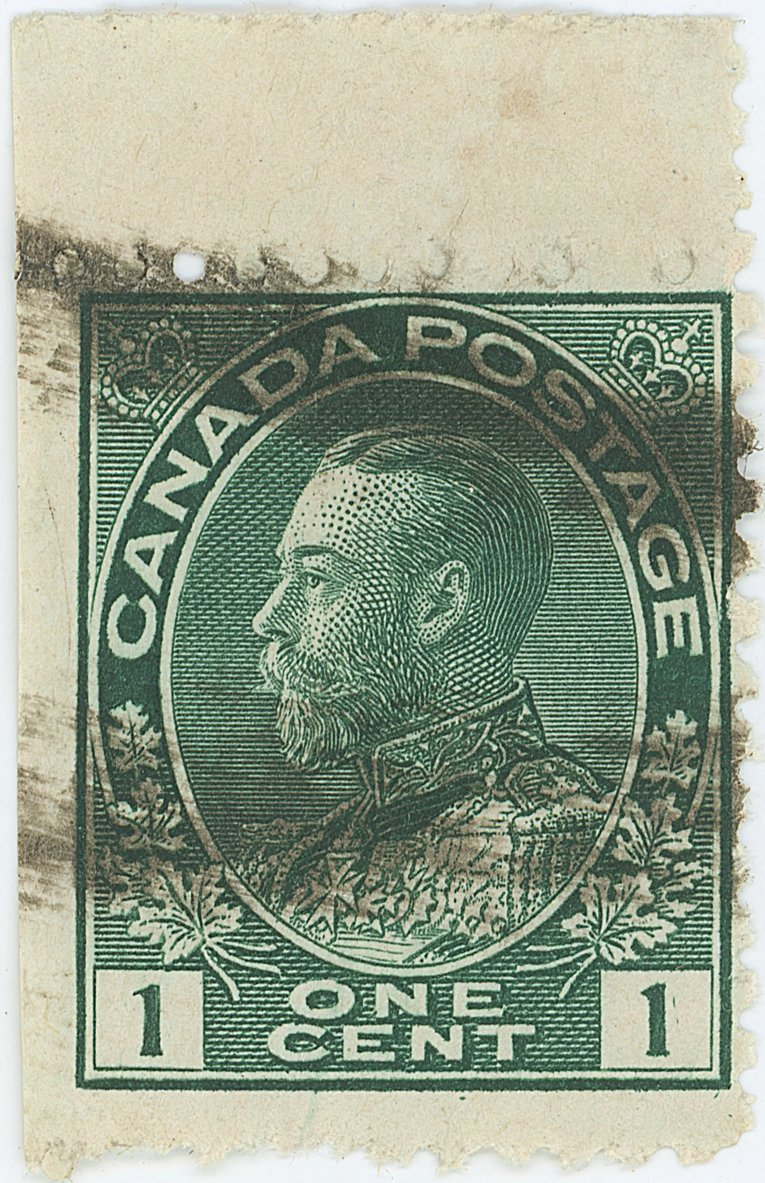 1¢G F Z2 FT sel.webp